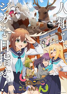泛页面关键词2051