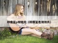 印度蓝p双效片（印度蓝色双效片）