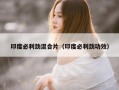 印度必利劲混合片（印度必利劲功效）