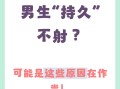 双效片 